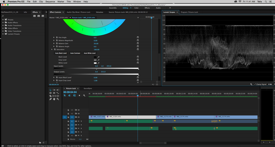 Lumetri Color Correction