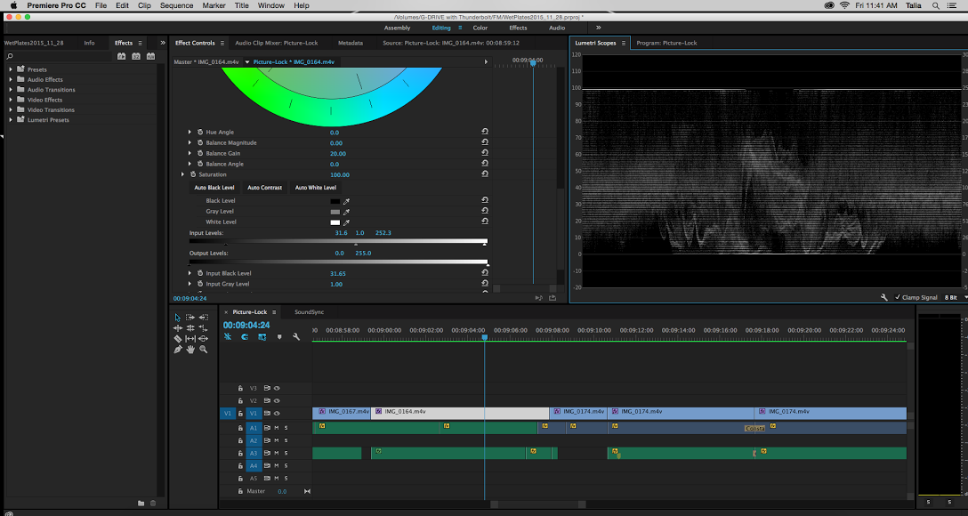 Lumetri Color Correction