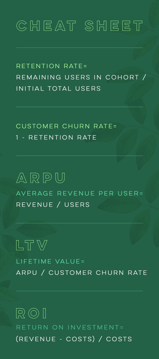 Video Marketing ROI and LTV Calculations