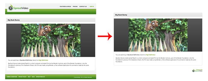 Unbranded Video Pages on SproutVideo